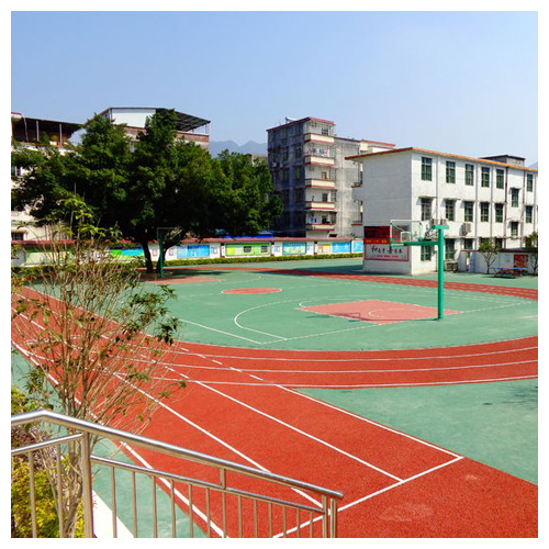 梅州雷公坑小学复合型塑胶跑道